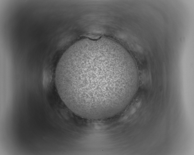 X0000101651157200808071109