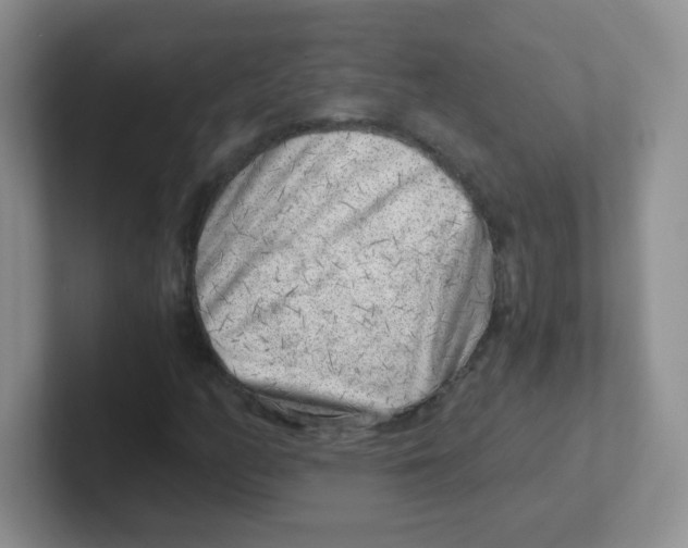 X0000101651158200808071108