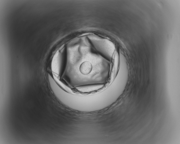 X0000101651160200808071108