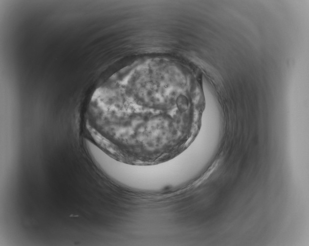 X0000101651161200808071108