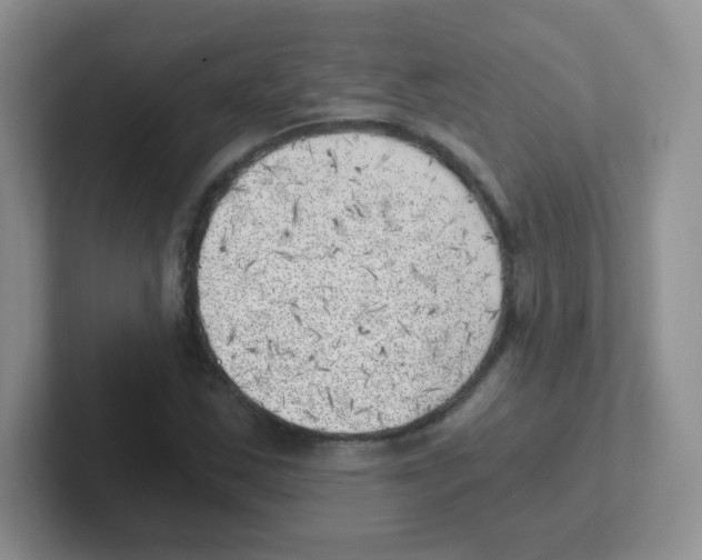X0000101651163200808071108