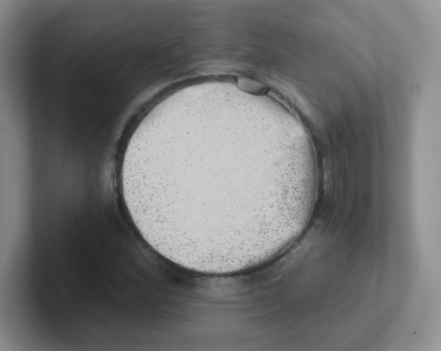 X0000101651164200808071108