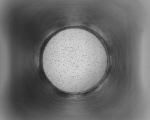 X0000101651165200808071108