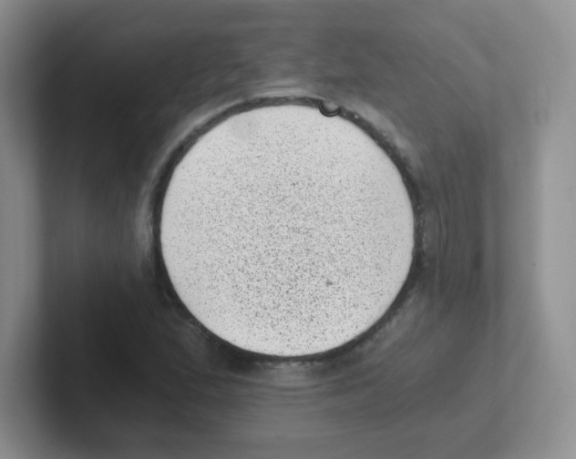 X0000101651167200808071108