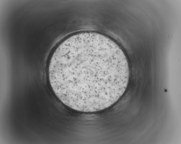 X0000101651168200808071108