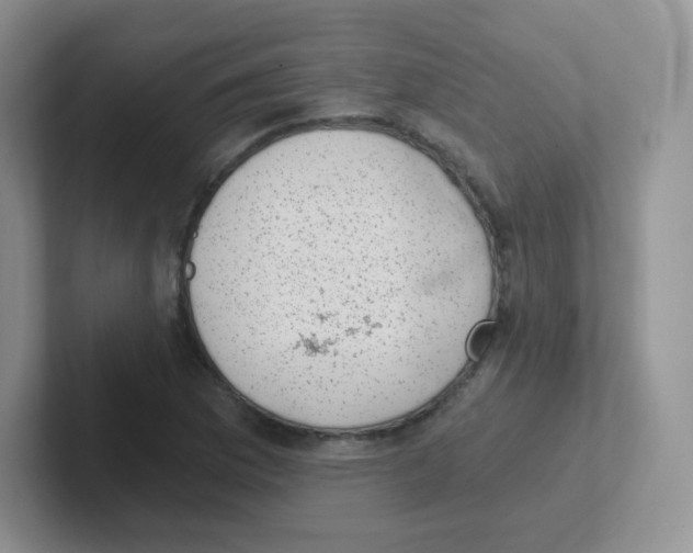X0000101651169200808071108