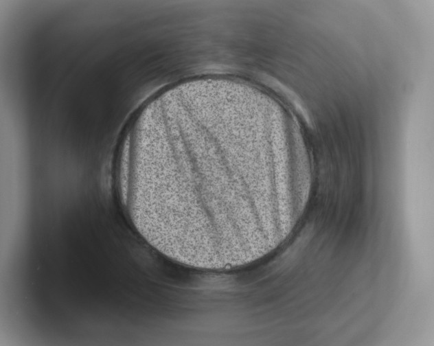 X0000101651170200808071108