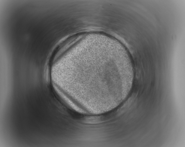 X0000101651171200808071108