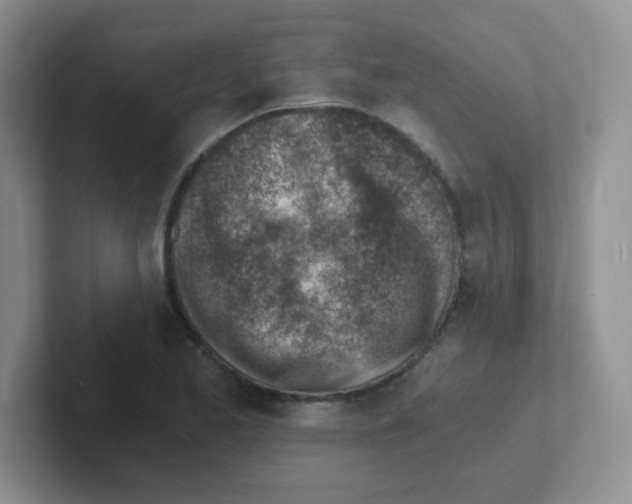 X0000101651173200808071108