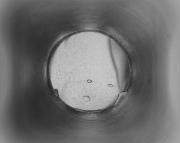 X0000101651174200808071108