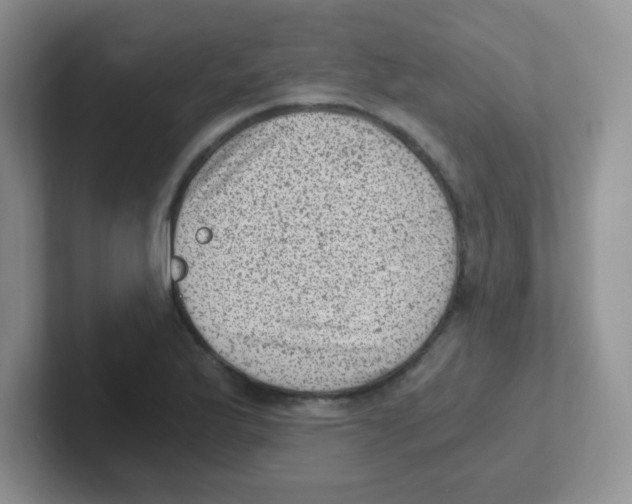 X0000101651175200808071108