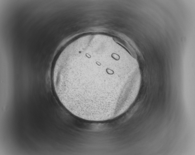 X0000101651176200808071108