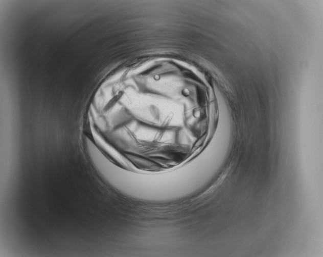 X0000101651177200808071108