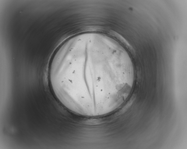 X0000101651178200808071108