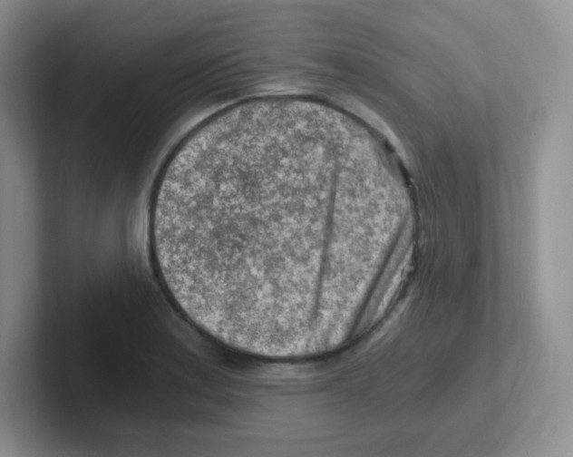 X0000101651179200808071108