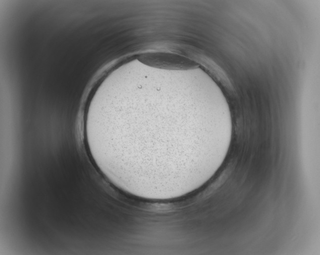X0000101651180200808071108