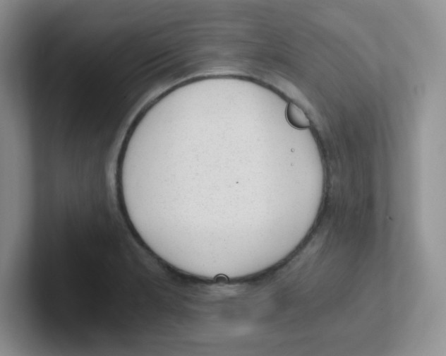 X0000101651181200808071108
