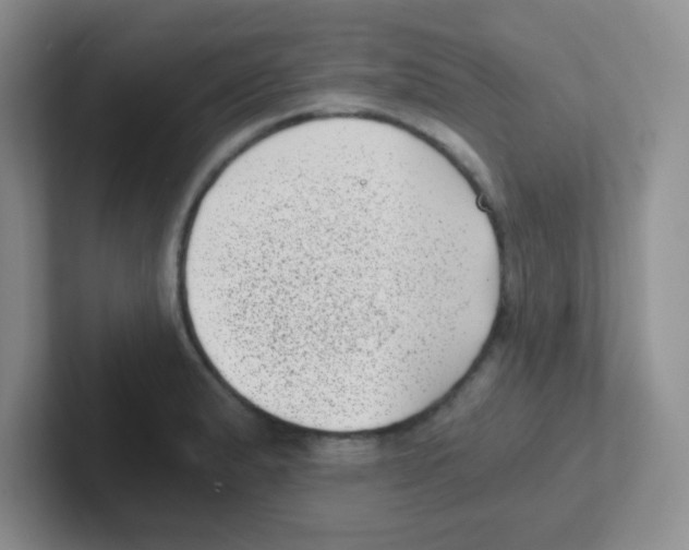 X0000101651183200808071108