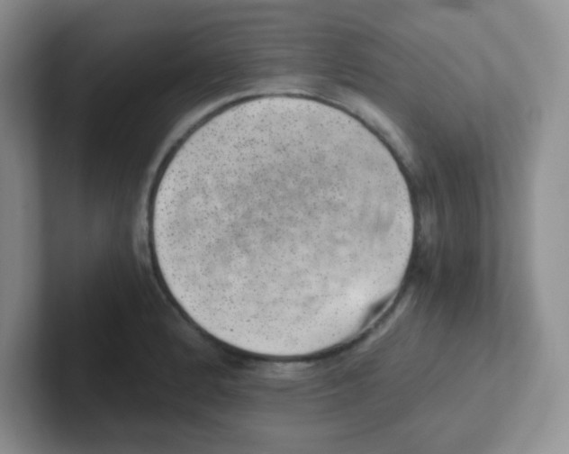 X0000101651184200808071108