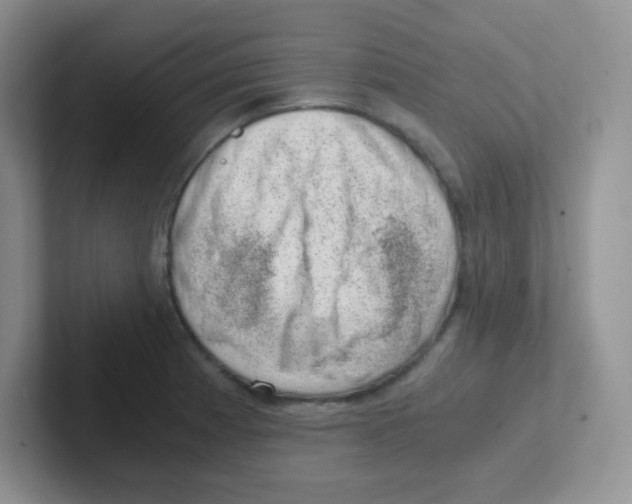 X0000101651185200808071108