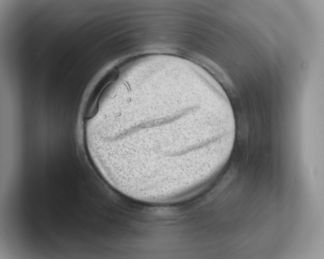 X0000101651188200808071108
