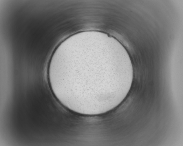 X0000101651189200808071108