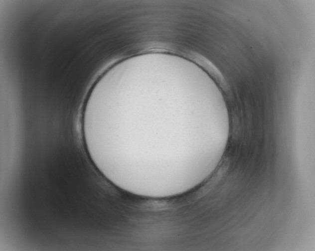 X0000101651190200808071108