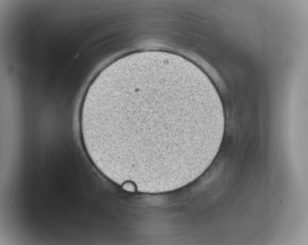 X0000101651191200808071108