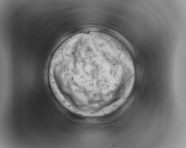 X0000101651194200808071108