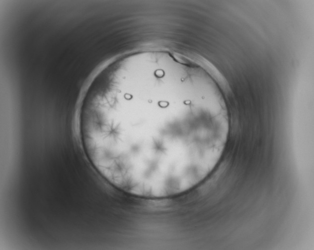 X0000101651196200808071108
