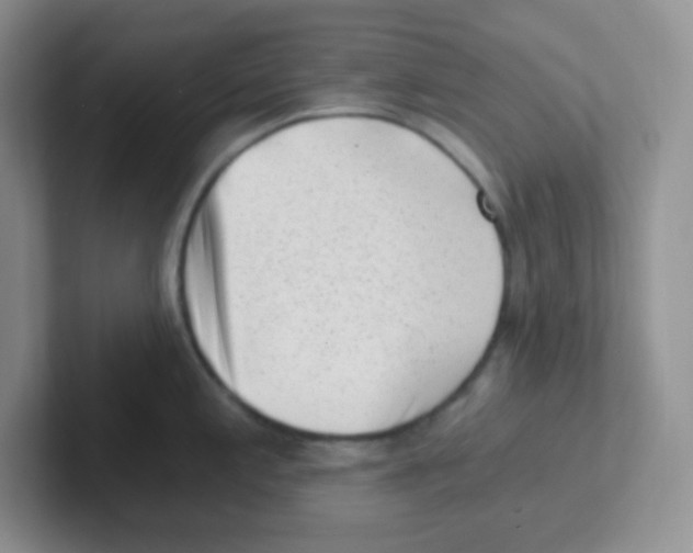 X0000101651197200808071108