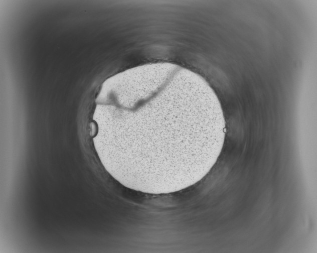 X0000101651201200808071107