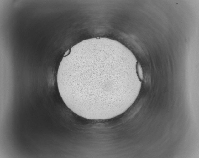 X0000101651204200808071107