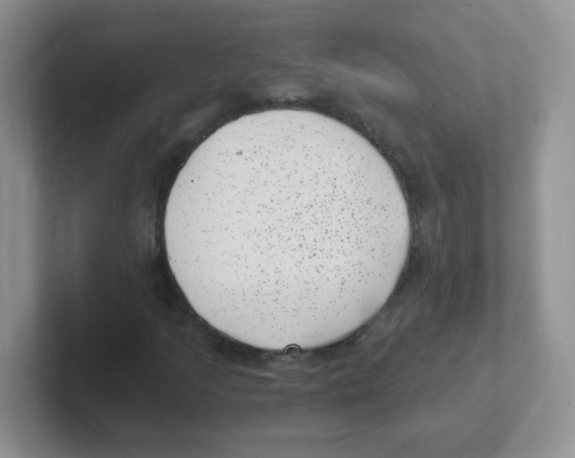 X0000101651205200808071107