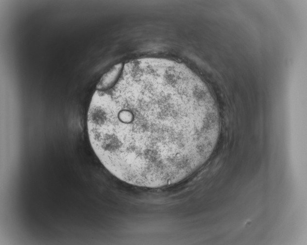 X0000101651206200808071107
