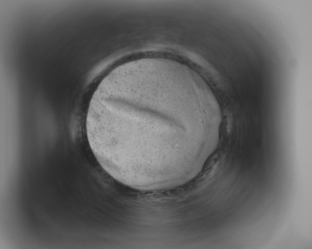 X0000101651208200808071107