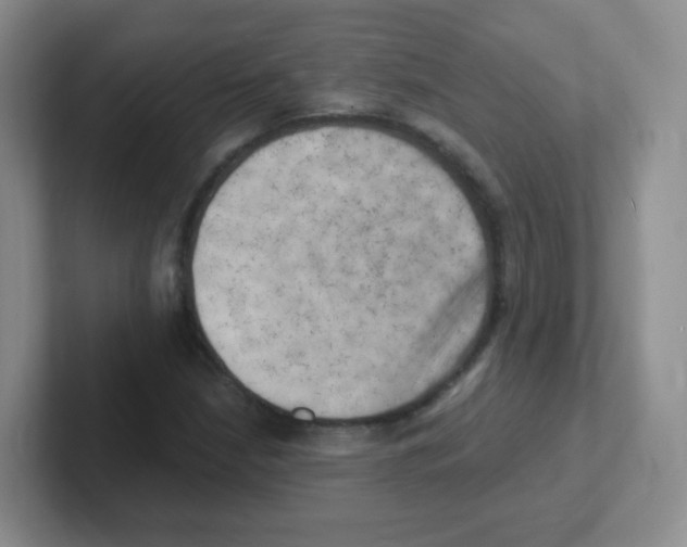 X0000101651210200808071107