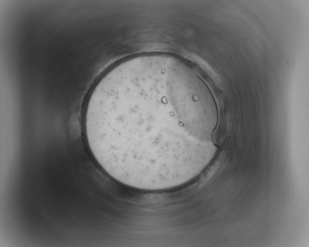 X0000101651212200808071107