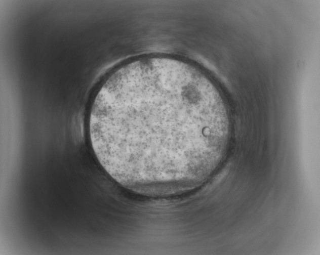 X0000101651214200808071107