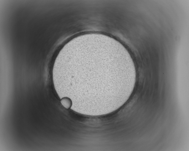 X0000101651215200808071107