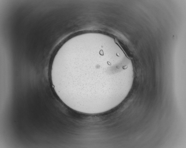 X0000101651216200808071107
