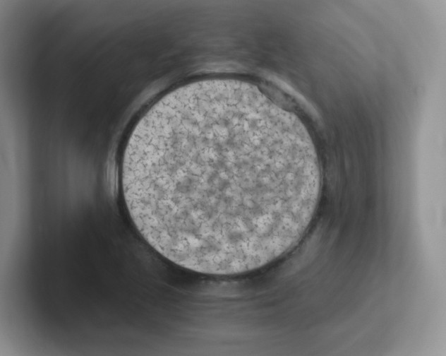 X0000101651221200808071107