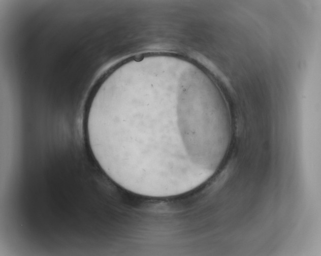 X0000101651222200808071108