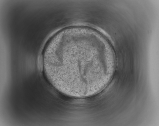 X0000101651223200808071108