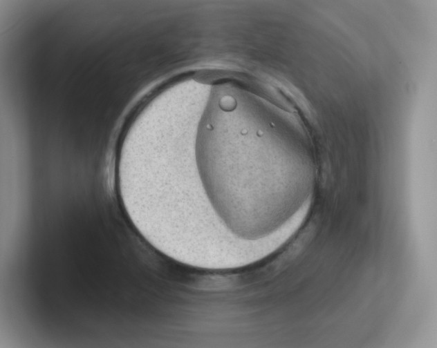 X0000101651224200808071108