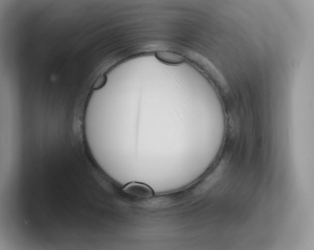 X0000101651225200808071108