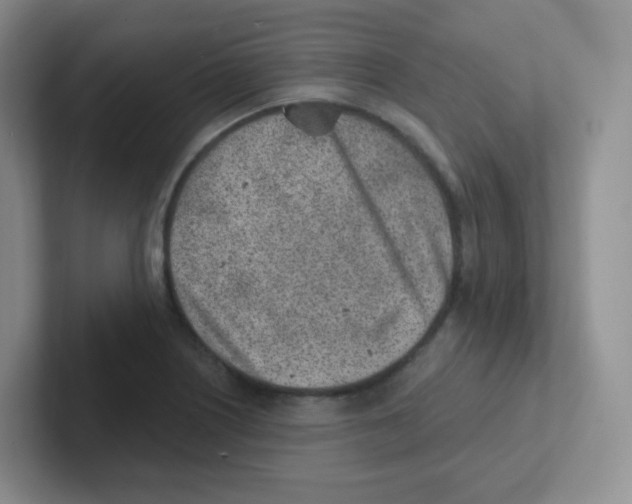 X0000101651226200808071108
