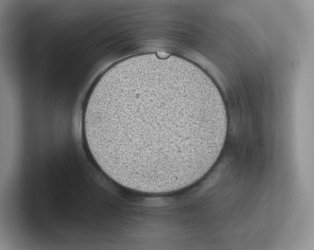 X0000101651227200808071108
