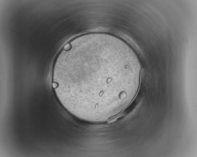 X0000101651228200808071108