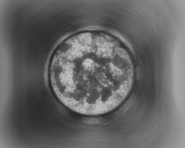 X0000101651229200808071108